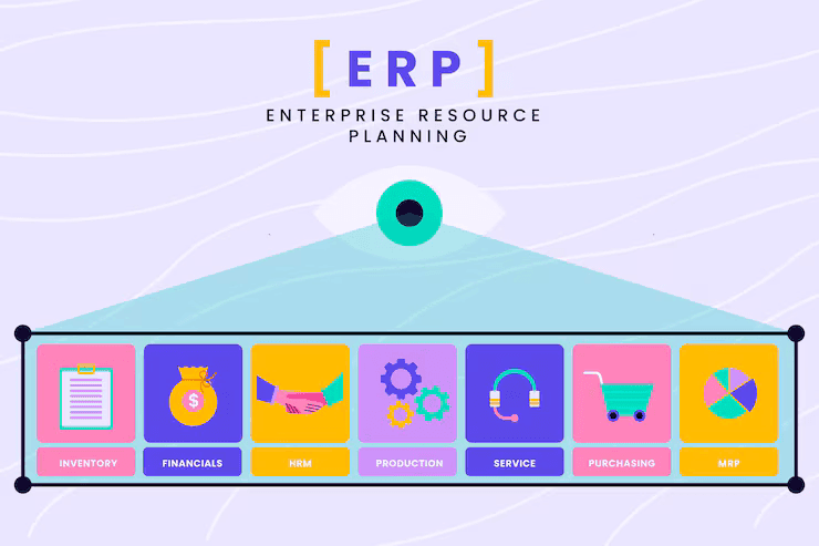 Custom ERP and Operational Dashboard